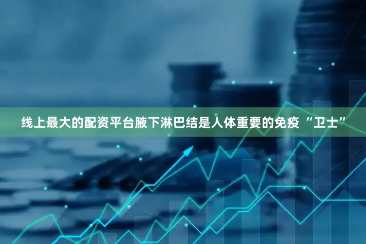 线上最大的配资平台腋下淋巴结是人体重要的免疫 “卫士”