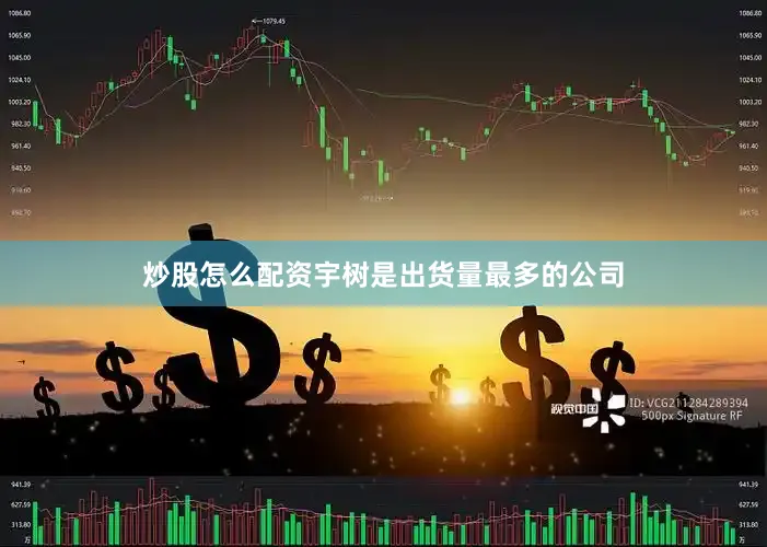 炒股怎么配资宇树是出货量最多的公司